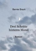 Drei Schritte hinterm Mond (eBook, ePUB)