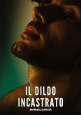 Il Dildo Incastrato