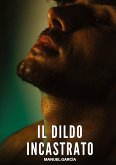 Il Dildo Incastrato