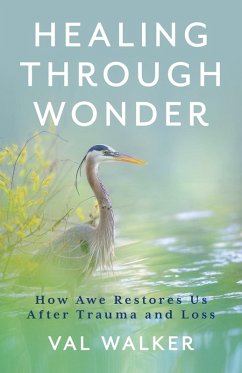 Cover Healing Through Wonder