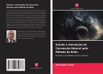 Estudo e Simulação da Convecção Natural pelo Método de Boltz