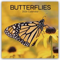 Cover Butterflies - Schmetterlinge 2026 - 16-Monatskalender