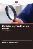 Maîtrise de l'audit et du risque