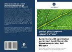 Ätherisches Öl von Croton zehntneri beeinflusst die Gewebereparatur bei Mäusen