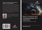 Studio e simulazione della convezione naturale con il metodo Boltz