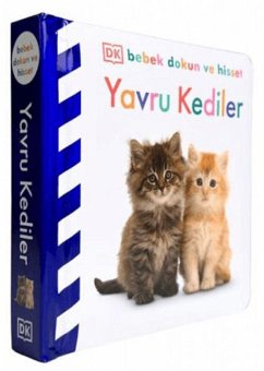 Cover Yavru Kediler - DK Bebek Dokun ve Hisset