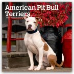 American Pit Bull Terriers 2026 - 16-Monatskalender