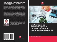 Cover Um transgénico bacteriano para a catalase protege a tradução da proteína D1