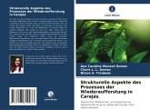 Strukturelle Aspekte des Prozesses der Wiederaufforstung in Carajás Strukturelle Aspekte des Prozesses der Wiederaufforstung in Carajás