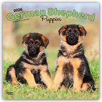 German Shepherd Puppies - Deutsche Schäferhund Welpen 2026 - 16-Monatskalender
