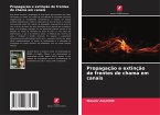 Propagação e extinção de frentes de chama em canais