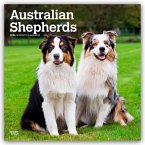 Australian Shepherds 2026 - 16-Monatskalender