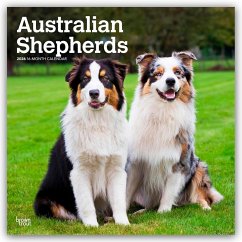 Australian Shepherds 2026 - 16-Monatskalender Cover Australian Shepherds 2026 - 16-Monatskalender
