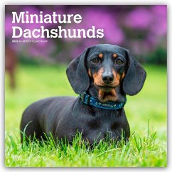 Cover Miniature Dachshunds - Zwergdackel 2026 - 16-Monatskalender
