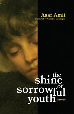 Cover The shine of sorrowful youth