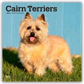 Cairn Terriers 2026 - 16-Monatskalender Cairn Terriers 2026 - 16-Monatskalender