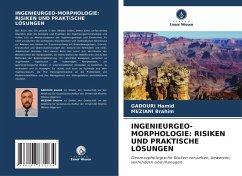 Cover INGENIEURGEO-MORPHOLOGIE: RISIKEN UND PRAKTISCHE LÖSUNGEN