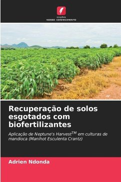 Cover Recuperação de solos esgotados com biofertilizantes