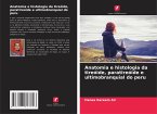 Anatomia e histologia da tireóide, paratireóide e ultimobranquial do peru Anatomia e histologia da tireóide, paratireóide e ultimobranquial do peru