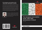 The emergence and evolution of the 'Celtic Tiger' phenomenon in Ireland The emergence and evolution of the 'Celtic Tiger' phenomenon in Ireland