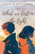 What We Lost in the Light - Bild 1