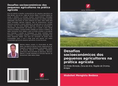 Cover Desafios socioeconómicos dos pequenos agricultores na prática agrícola