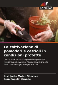 Cover La coltivazione di pomodori e cetrioli in condizioni protette