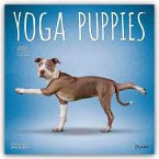 Yoga Puppies - Welpen Yoga 2026 - 16-Monatskalender Yoga Puppies - Welpen Yoga 2026 - 16-Monatskalender