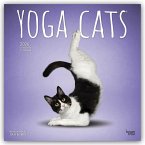 Yoga Cats - Katzen Yoga 2026 - 16-Monatskalender