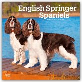 English Springer Spaniels 2026 - 16-Monatskalender English Springer Spaniels 2026 - 16-Monatskalender