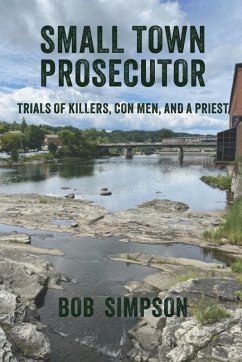 Cover Small Town Prosecutor