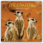 Meerkats - Erdmännchen 2026 - 16-Monatskalender Meerkats - Erdmännchen 2026 - 16-Monatskalender