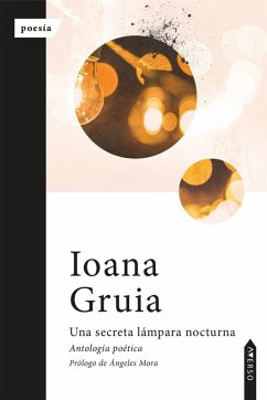 Cover Una secreta lámpara nocturna