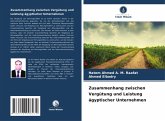 Zusammenhang zwischen Vergütung und Leistung ägyptischer Unternehmen
