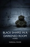 Black Shapes in a Darkened Room Black Shapes in a Darkened Room