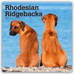 Rhodesian Ridgebacks - Rhodesian Ridgeback 2026 - 16-Monatskalender