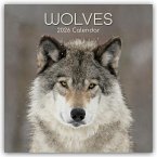 Wolves - Wölfe 2026 - 16-Monatskalender Wolves - Wölfe 2026 - 16-Monatskalender