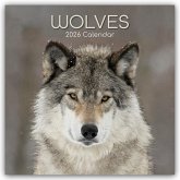 Wolves - Wölfe 2026 - 16-Monatskalender Wolves - Wölfe 2026 - 16-Monatskalender
