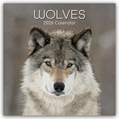 Cover Wolves - Wölfe 2026 - 16-Monatskalender