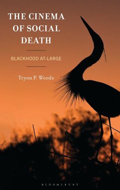 Cover The Cinema of Social Death