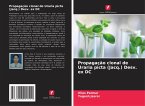 Propagação clonal de Uraria picta (Jacq.) Desv. ex DC Propagação clonal de Uraria picta (Jacq.) Desv. ex DC