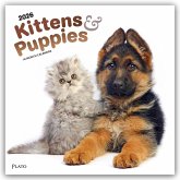 Kittens & Puppies - Kätzchen & Welpen 2026 - 16-Monatskalender Kittens & Puppies - Kätzchen & Welpen 2026 - 16-Monatskalender