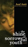 The shine of sorrowful youth The shine of sorrowful youth