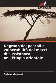 Cover Degrado dei pascoli e vulnerabilità dei mezzi di sussistenza nell'Etiopia orientale