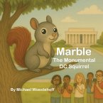 Marble the Monumental DC Squirrel Marble the Monumental DC Squirrel