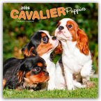 Cavalier King Charles Spaniel Puppies - Cavalier King Charles Spaniel Welpen 2026 - 16-Monatskalender Cavalier King Charles Spaniel Puppies - Cavalier King Charles Spaniel Welpen 2026 - 16-Monatskalender