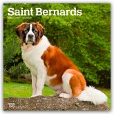 Saint Bernards - Bernhardiner 2026 - 16-Monatskalender Saint Bernards - Bernhardiner 2026 - 16-Monatskalender