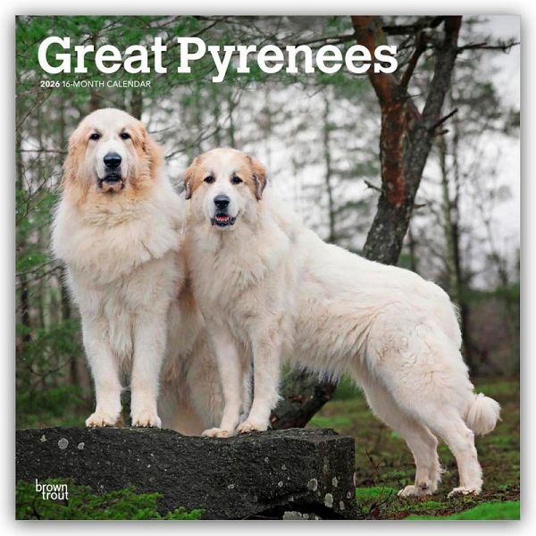 Great Pyrenees - Pyrenäenberghund 2026 - 16-Monatskalender