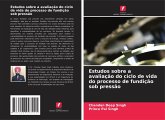 Estudos sobre a avaliação do ciclo de vida do processo de fundição sob pressão Estudos sobre a avaliação do ciclo de vida do processo de fundição sob pressão