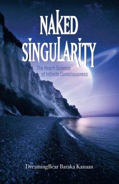 Naked Singularity (eBook, ePUB)